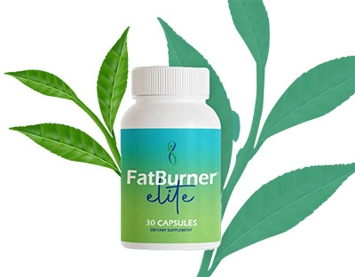 fatburner elite